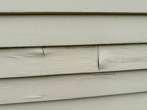 Trusted Steilacoom, WA Siding Installation & Repair Experts